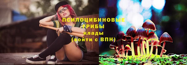 спиды Армянск