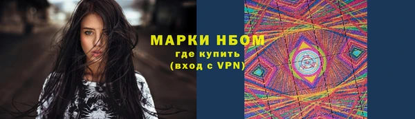 прущие грибы Арсеньев