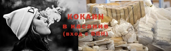 прущие грибы Арсеньев