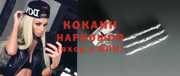 прущие грибы Арсеньев