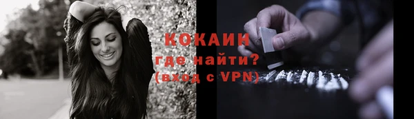 прущие грибы Арсеньев