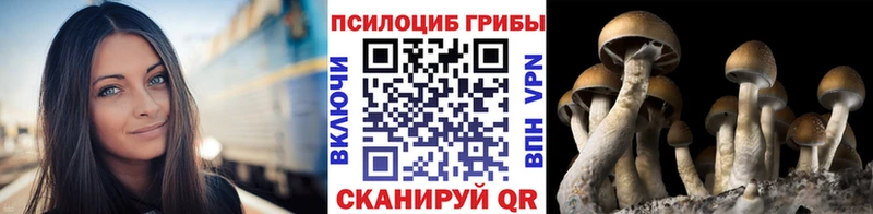 дарк нет состав  Белый  Галлюциногенные грибы GOLDEN TEACHER 